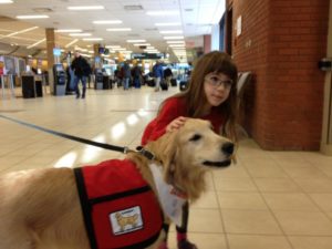 airport-ac-regina-airport-therapy-dogs-feb-26-2015-2